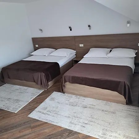 Affittacamere Pensiunea Casa Alexandra 3*