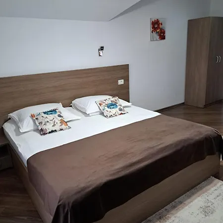 Pensiunea Casa Alexandra 3*