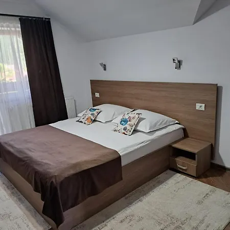 Pensiunea Casa Alexandra Vatra Dornei