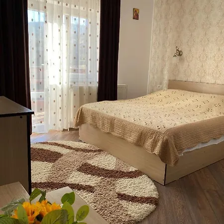 Affittacamere Pensiunea Casa Alexandra Vatra Dornei
